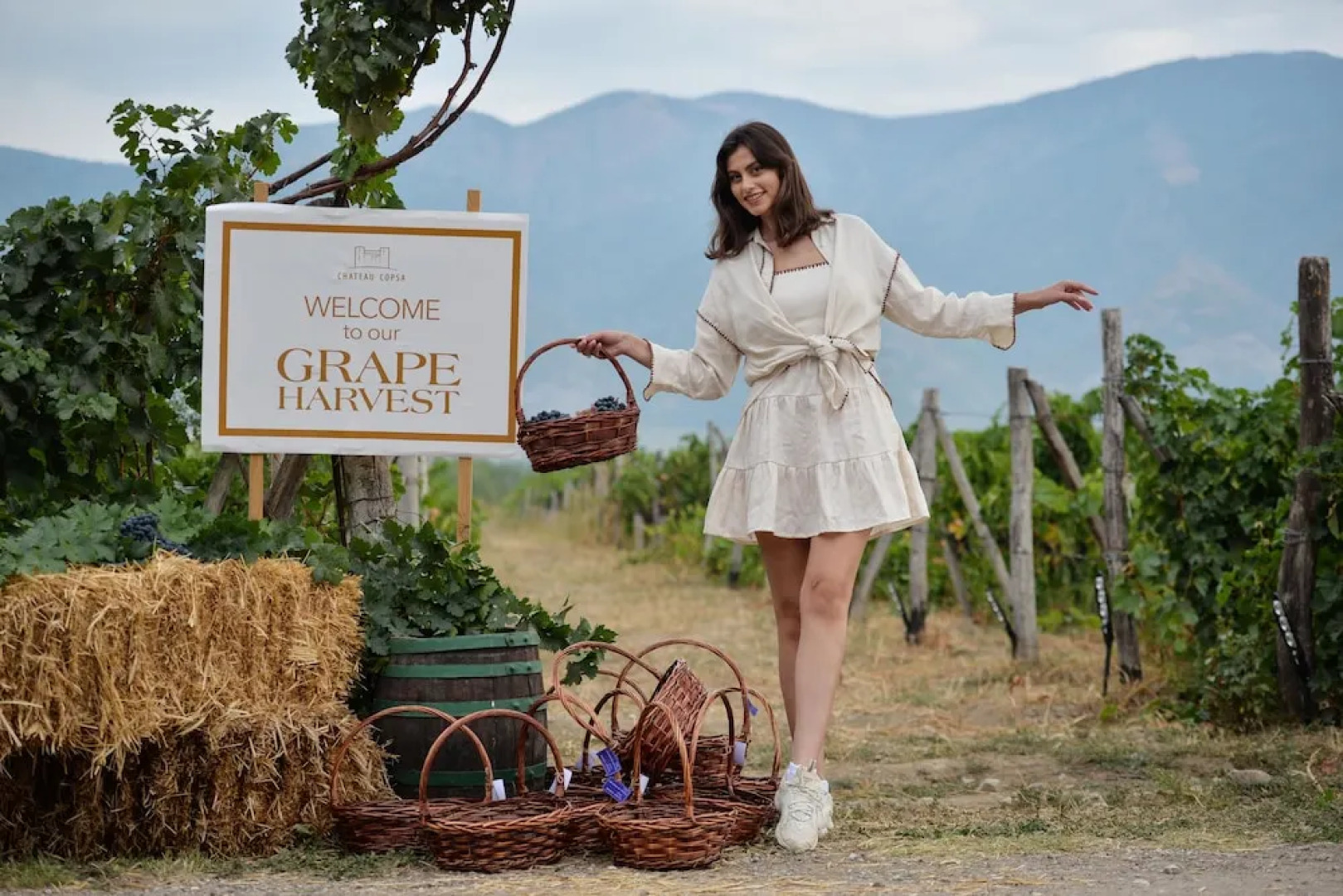 Maison & Chateau Copsa