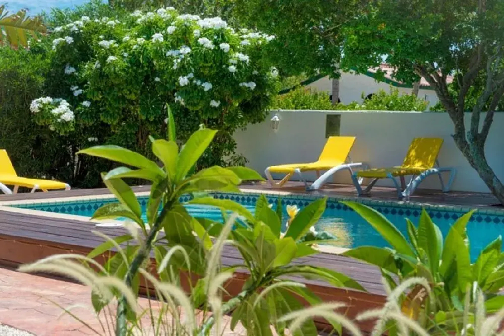 White Beach Apartments Palm Beach