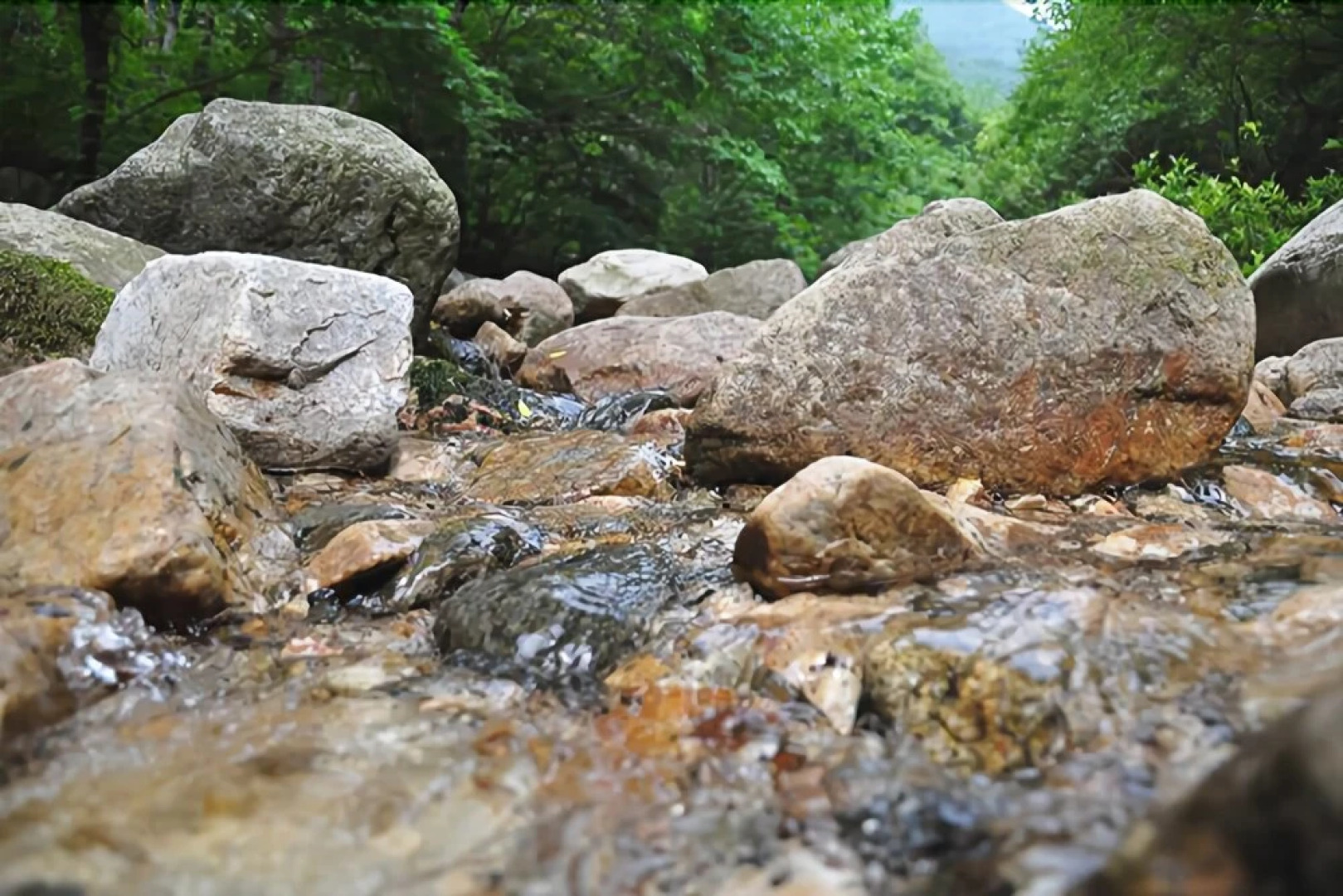 Yangpyeong Ooz Pension