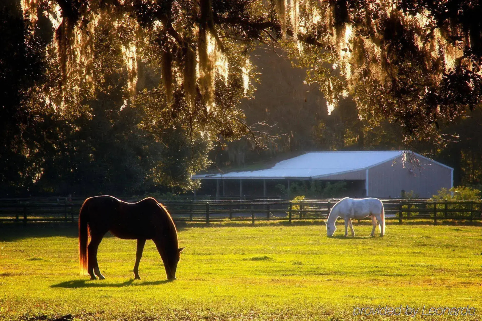 The Inn At Middleton Place