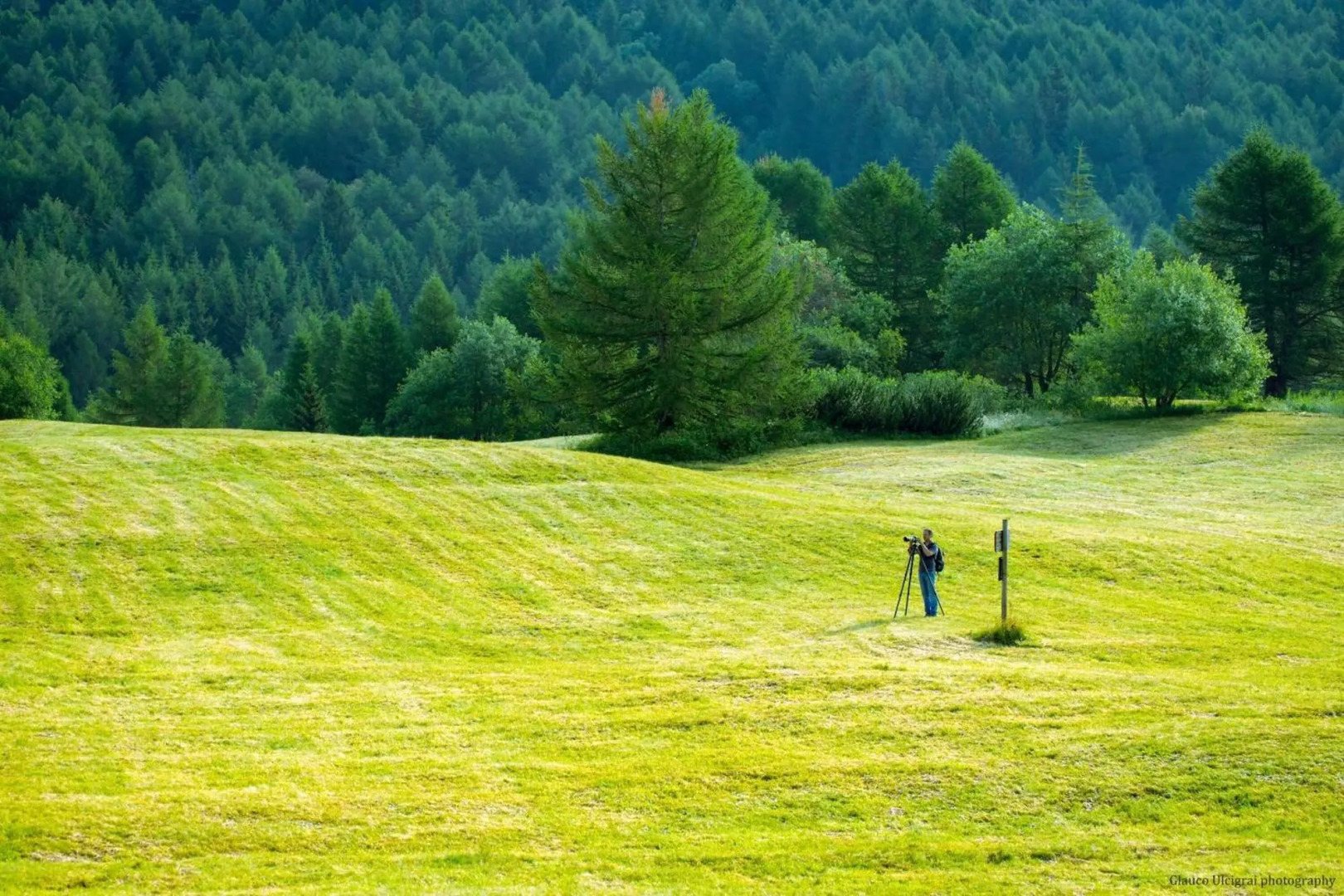 Dolomiti Chalet Hotel