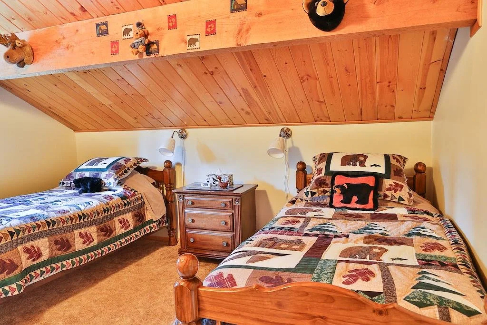 Mount Robson Mountain River Lodge