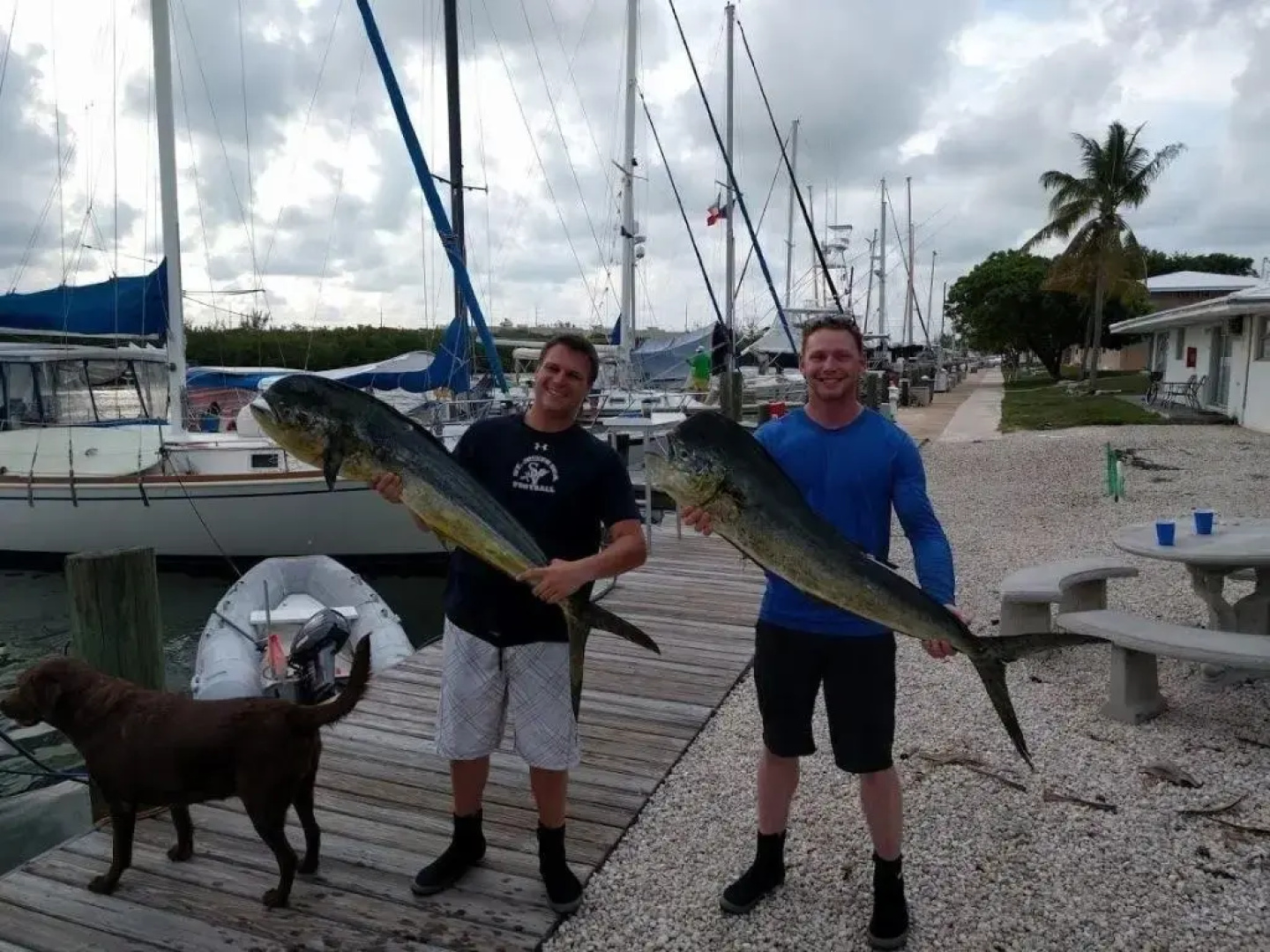 Skipjack Resort & Marina