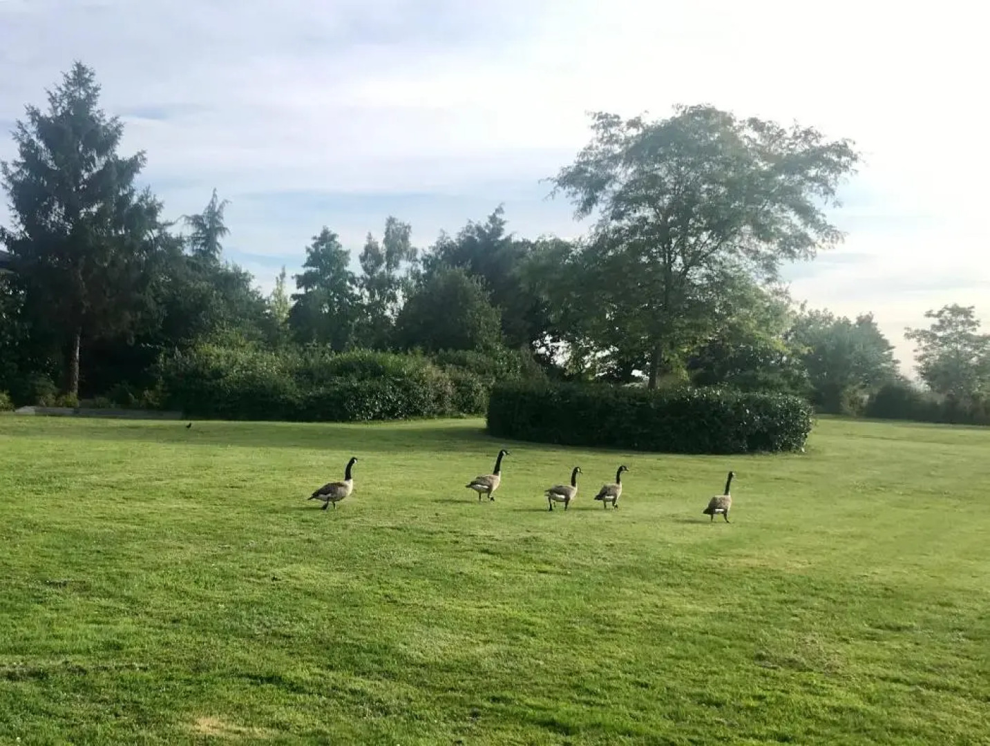 Amber Lodge Hickstead-A