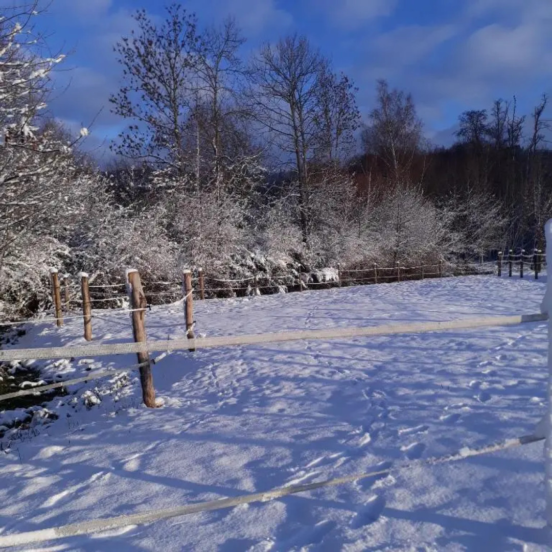 Le Gîte du Cheval Blanc