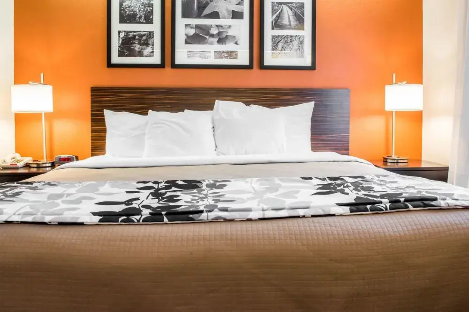 Quality Inn Bridgeport-Clarksburg