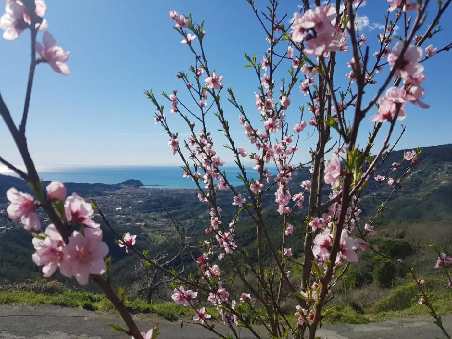 Casale In Vigna, CinqueTerreCoast
