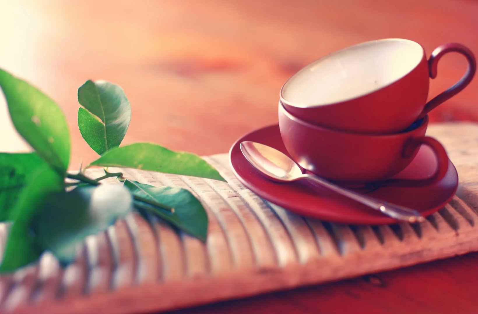 Osborne House - Guest House