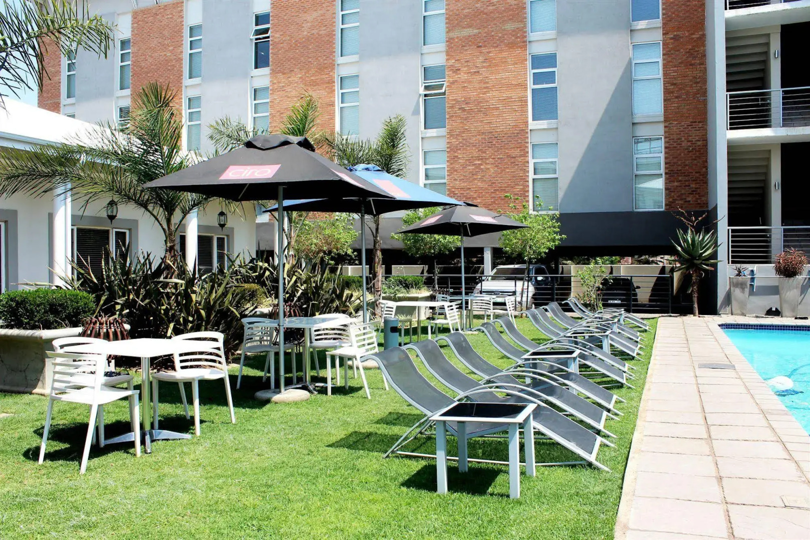 Life Hotel - The Aviator