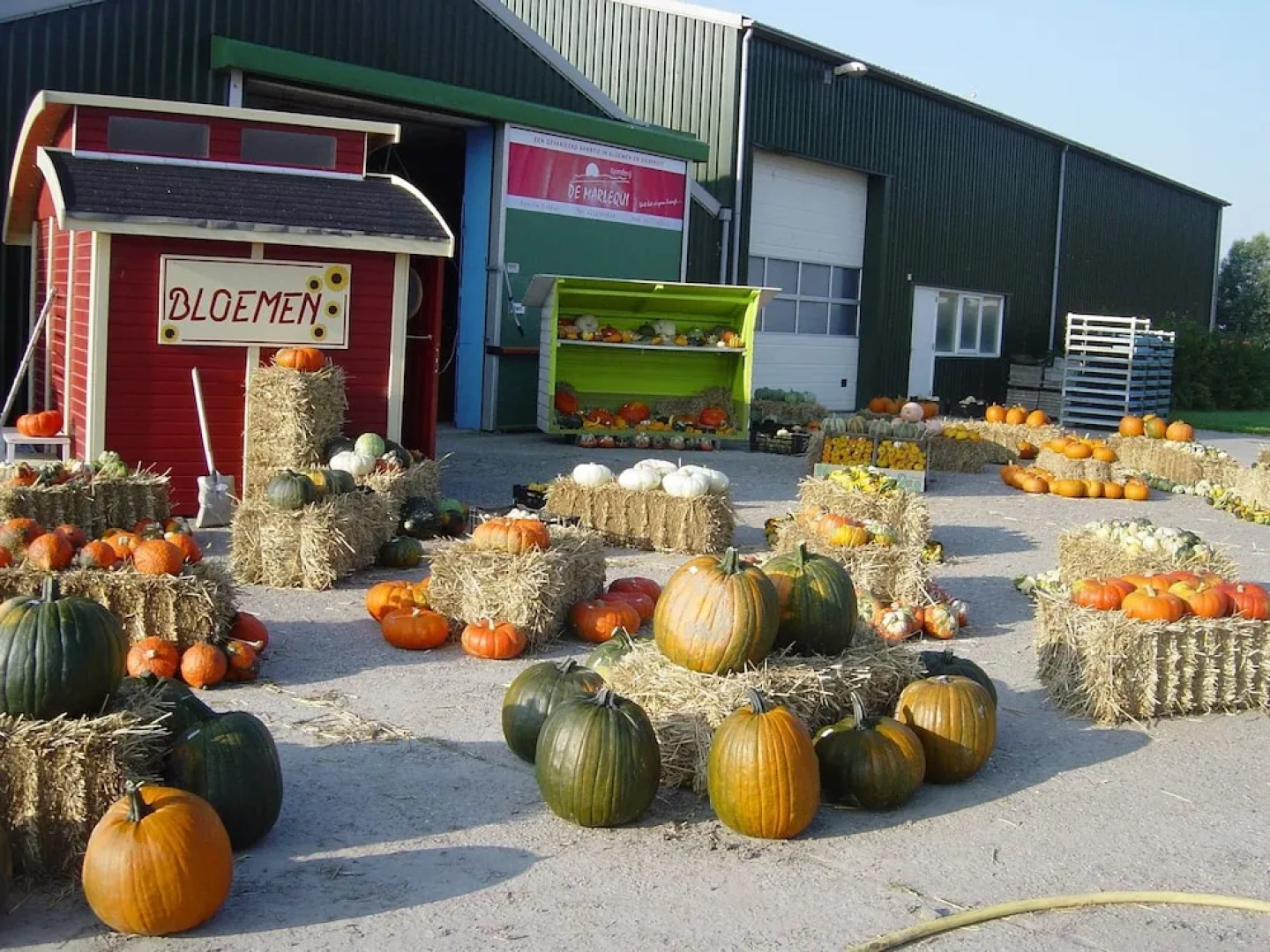 Restinn Warmenhuizen