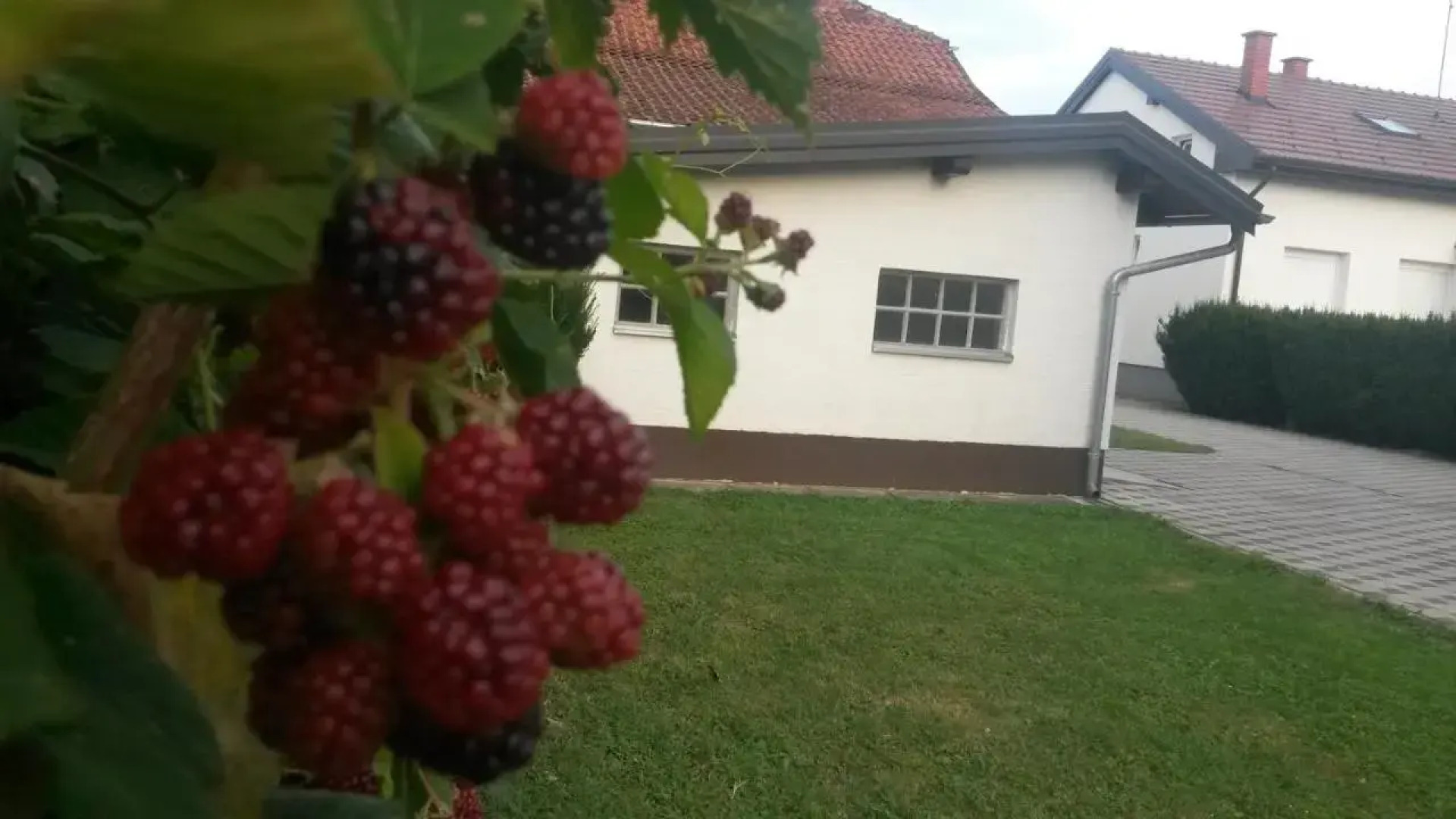 Apartment Cecilia Koprivnica