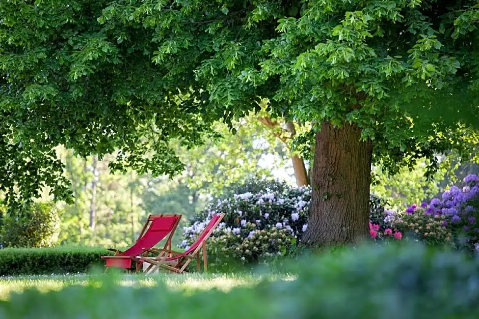 Berggasthof Wilhelmshöhe