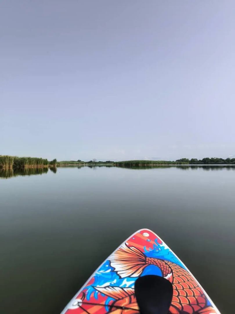 Elephant Home (Элефант Хоум)