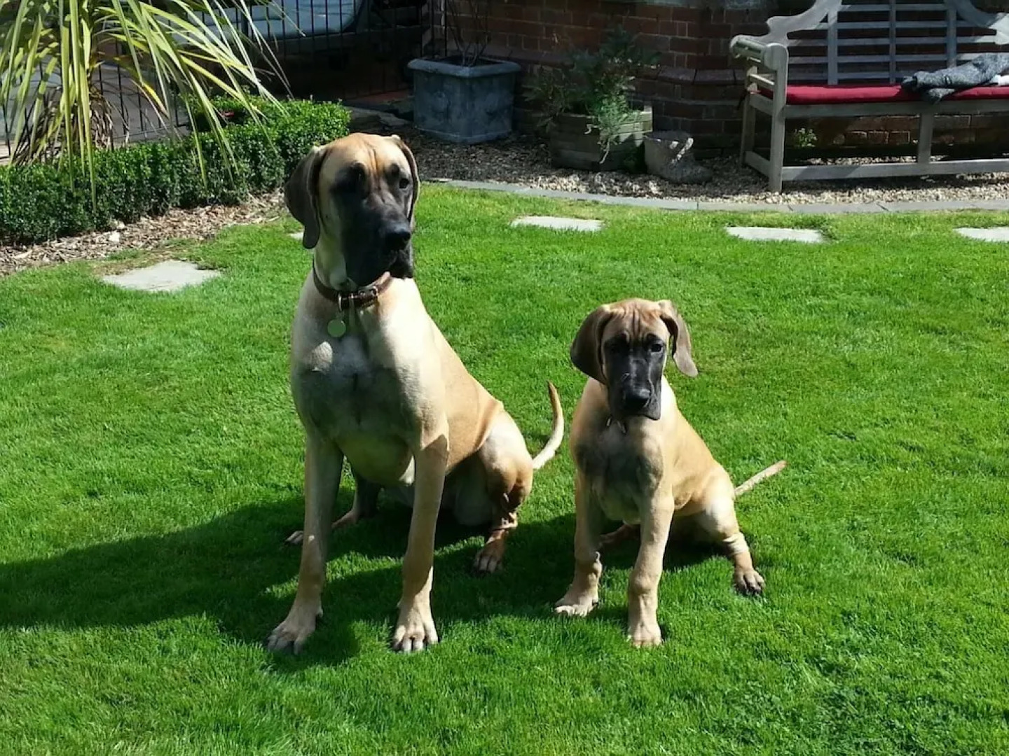 The Dower House Hotel