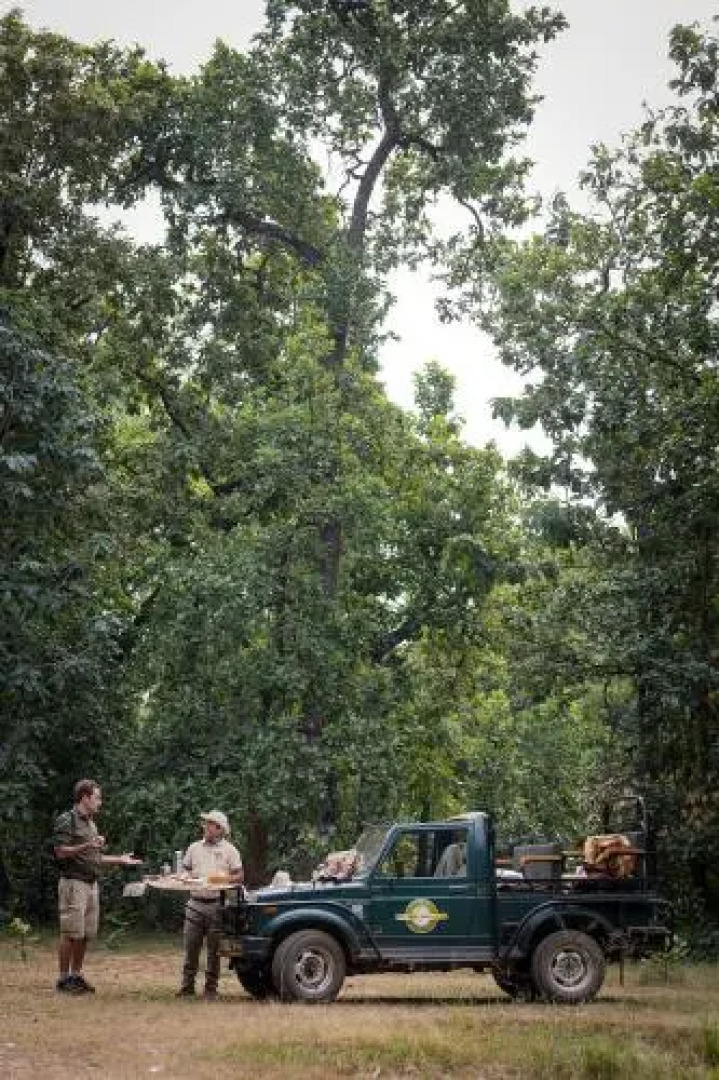 Tree House Hideway Bandhavgarh