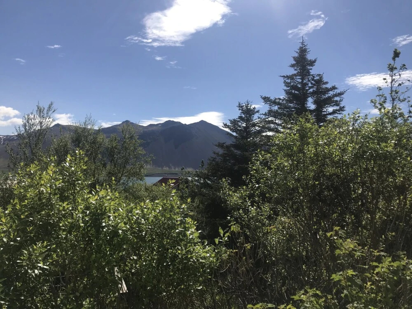 Private and peaceful one room apartments