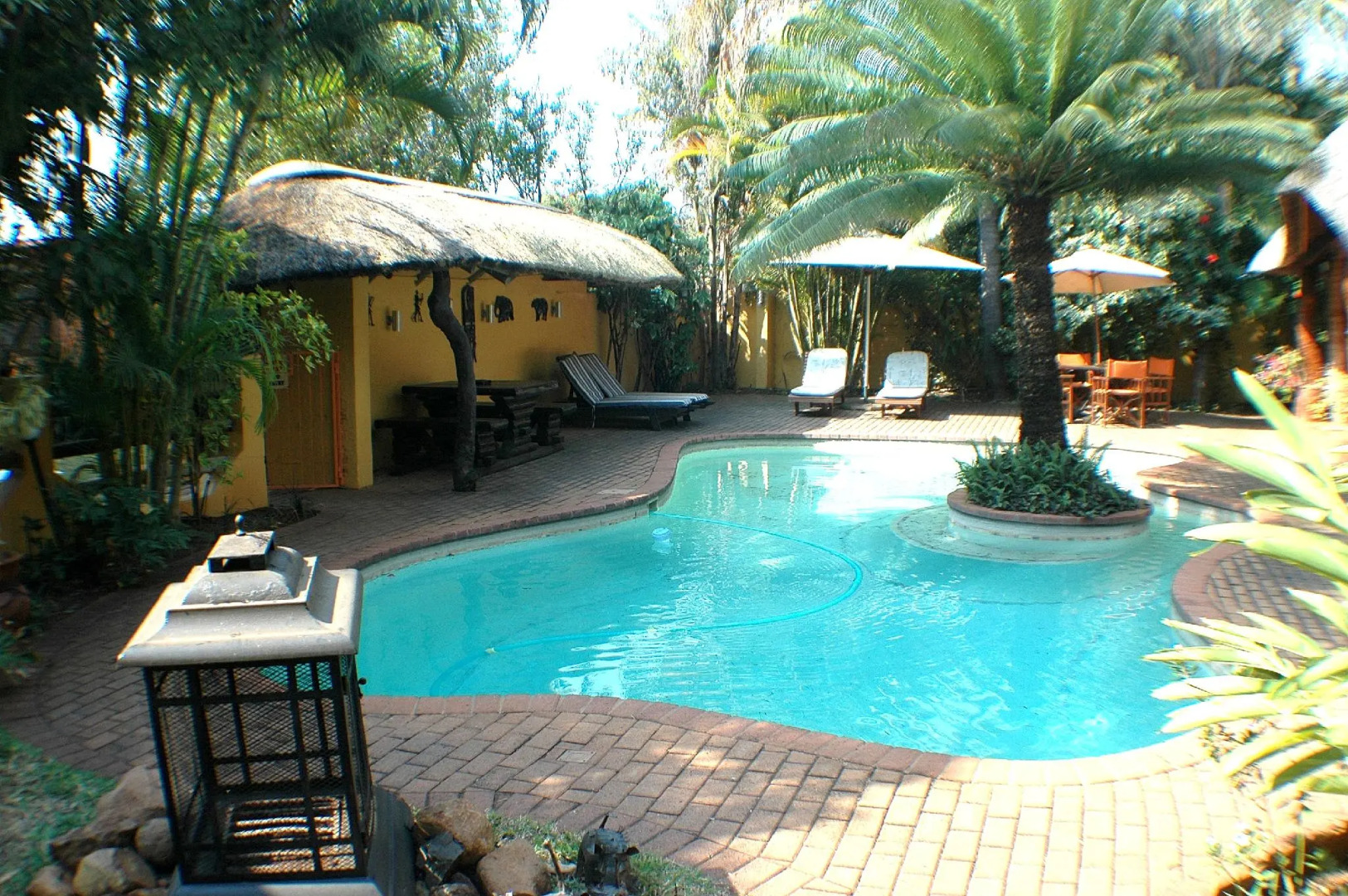 Trees Too Guest Lodge