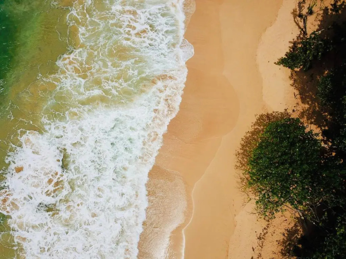 Tesoro Escondido Lodge Cabinas