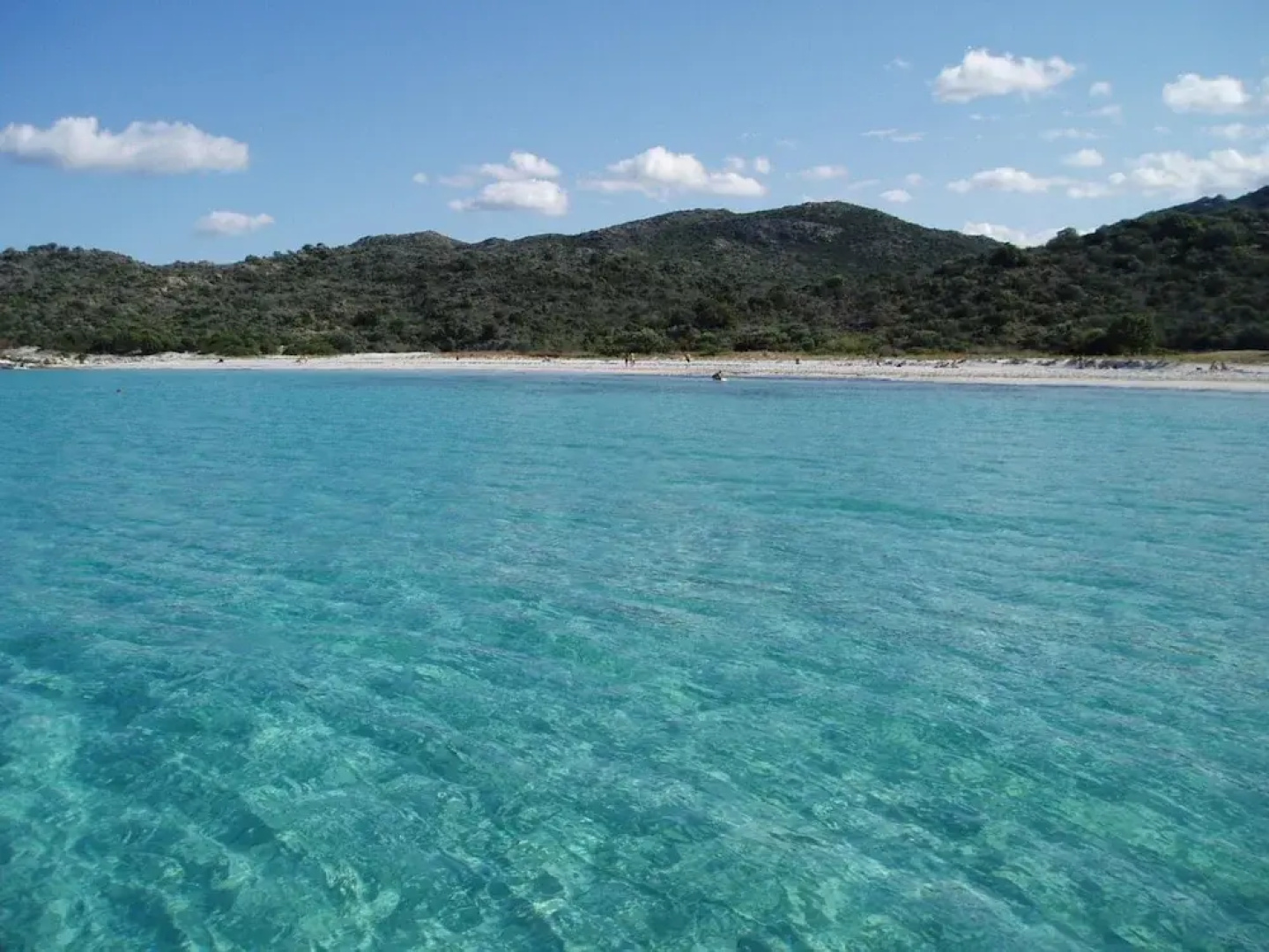 T3 Piscine Avec Jardin Proche St-florent