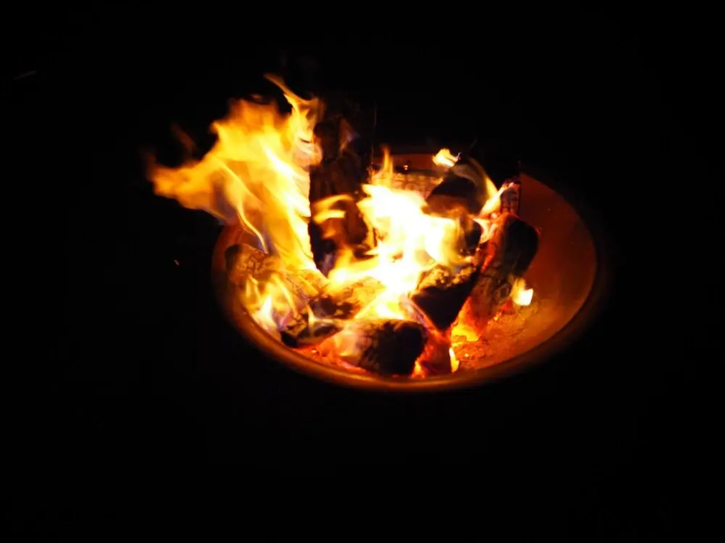 Wondertrunk Experience Sanbe - Glamping