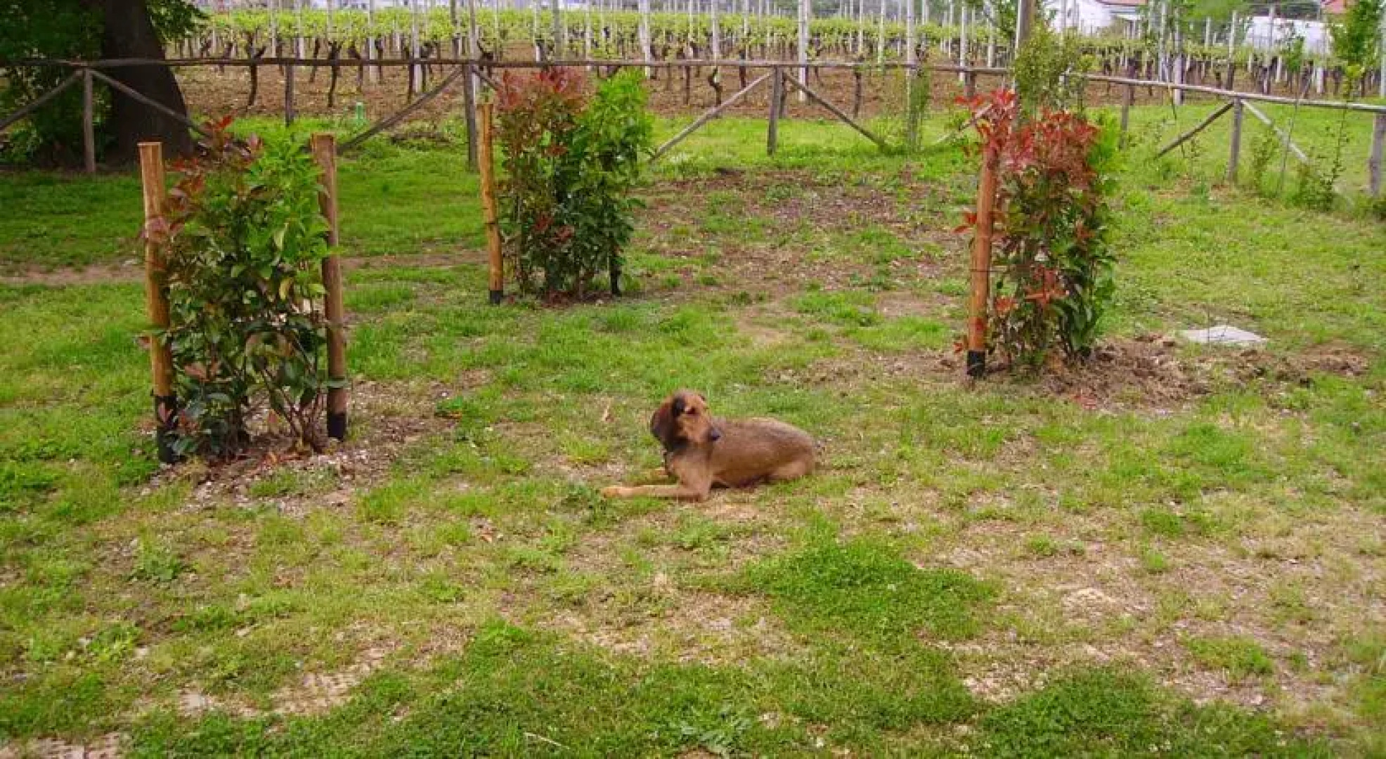 Agriturismo La Valle