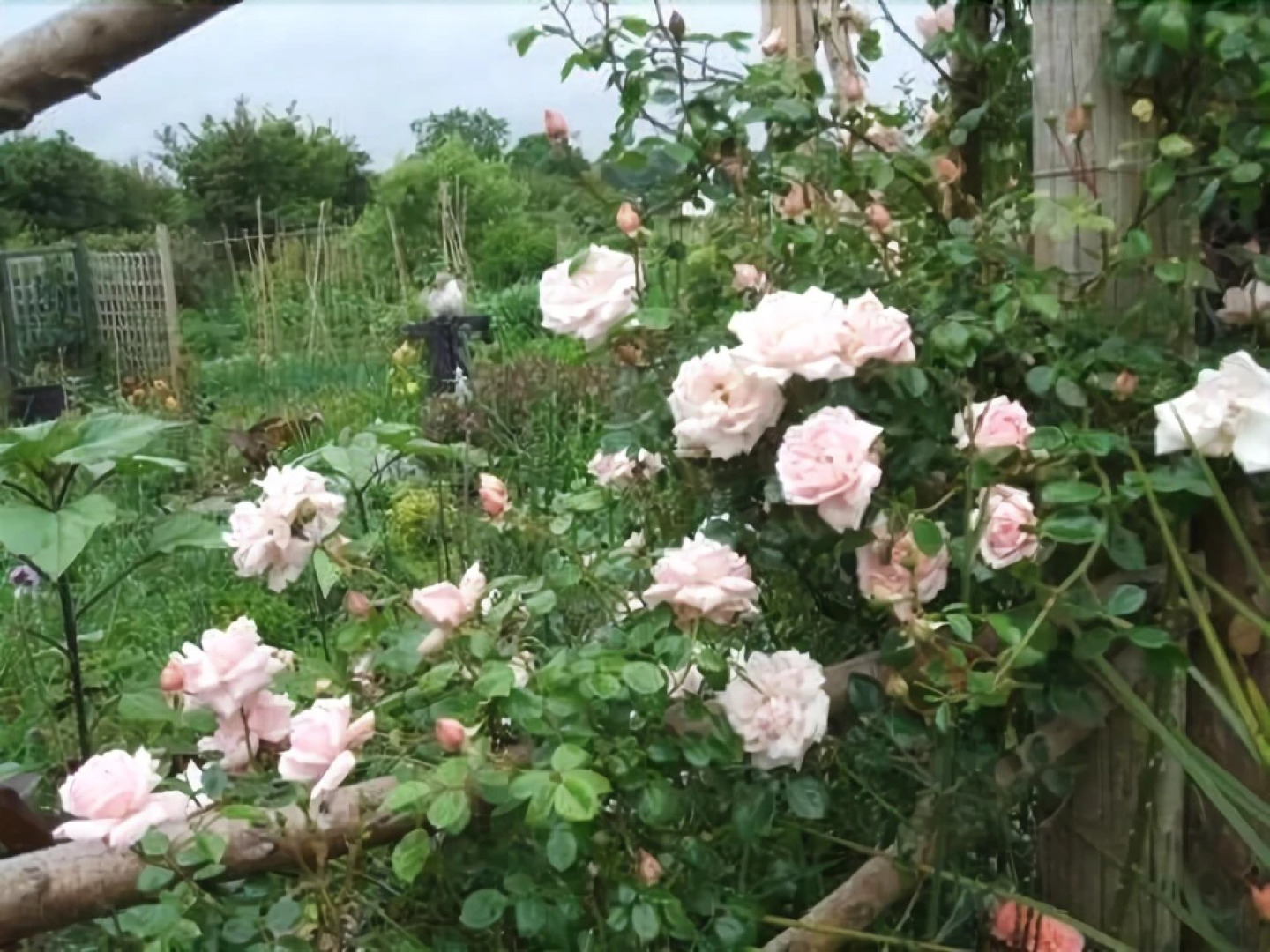 Cross Close House B&B