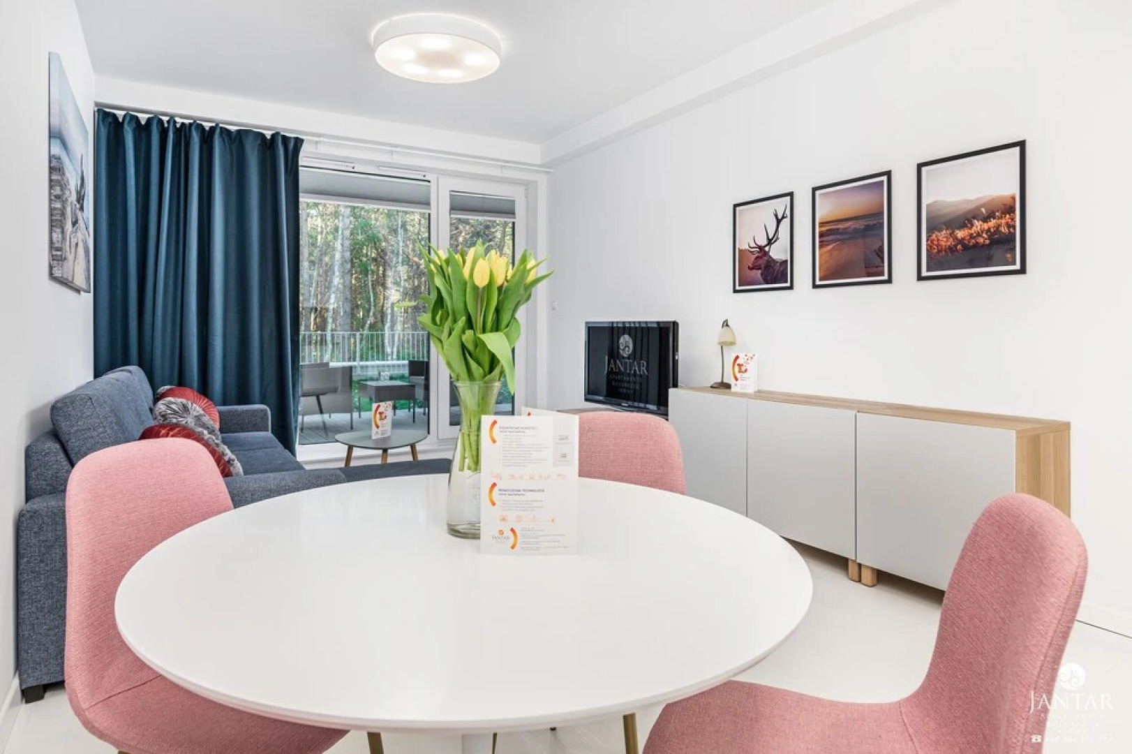 JantarApartamentyPearl Apartments Rogowo