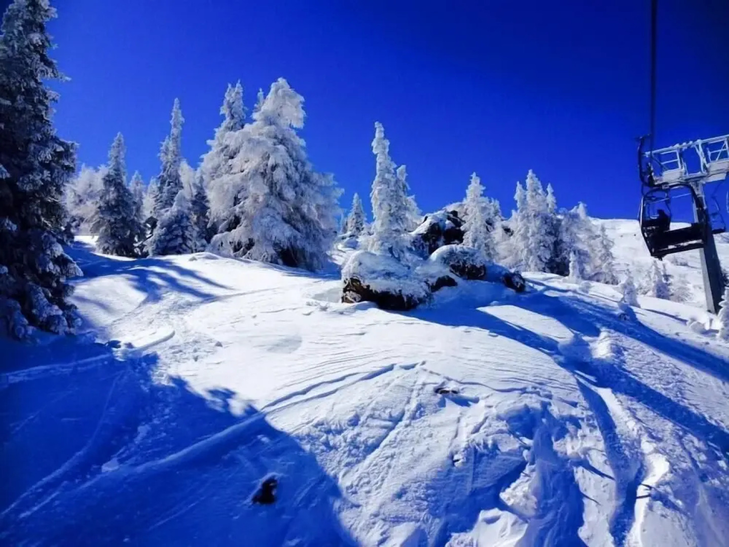 Alfaierhof-Bergheimat