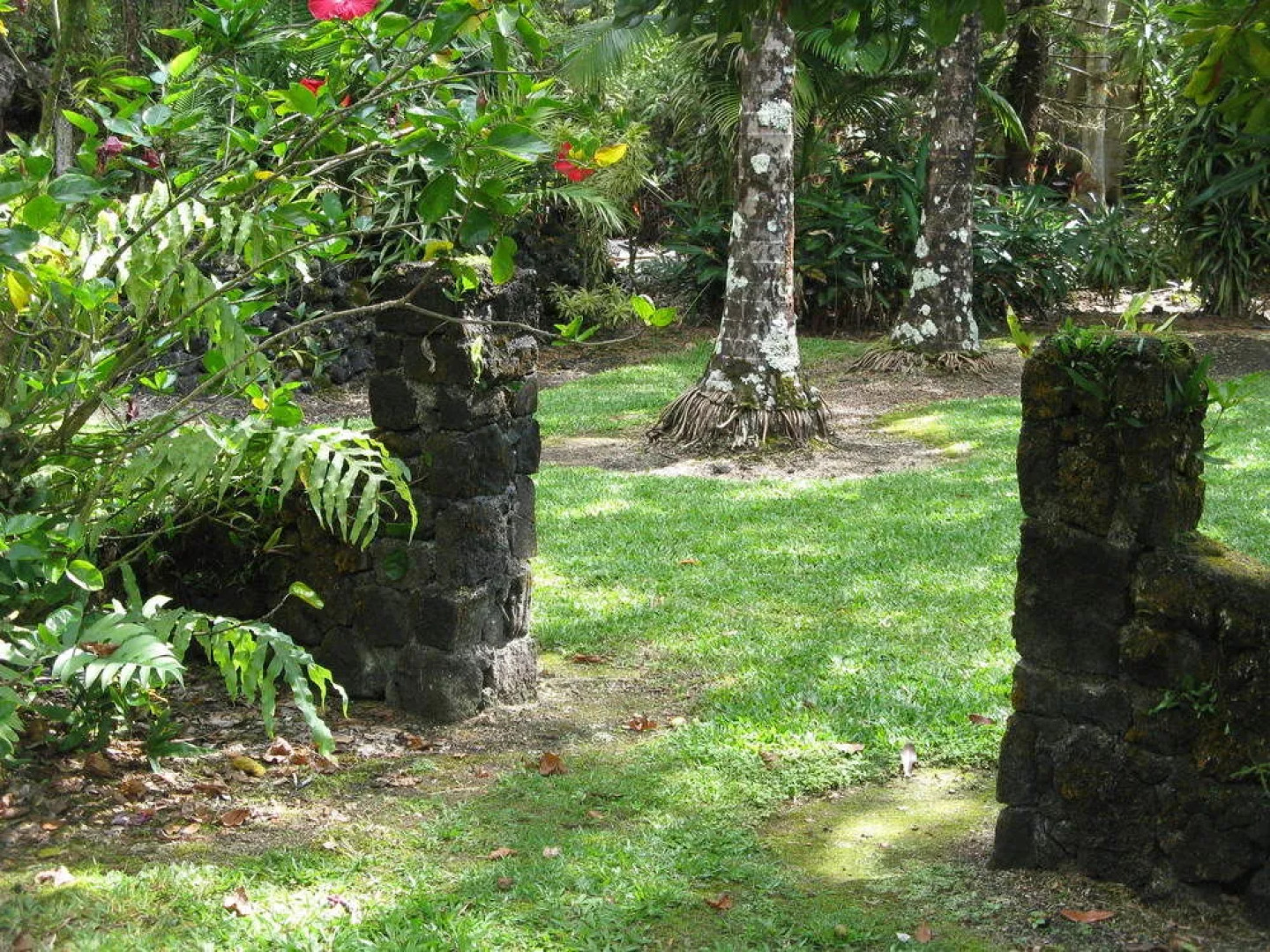 Hale Moana Bed & Breakfast