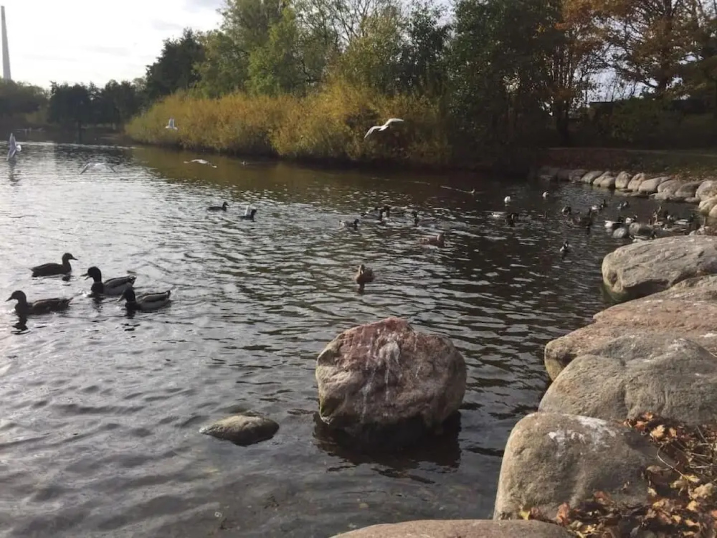 Justsleep Bed and Breakfast