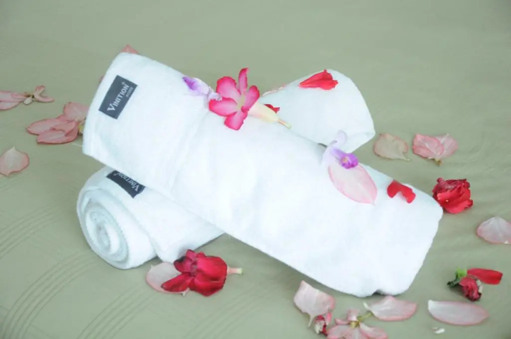 Zen Studio @ Trefoil Setia Alam