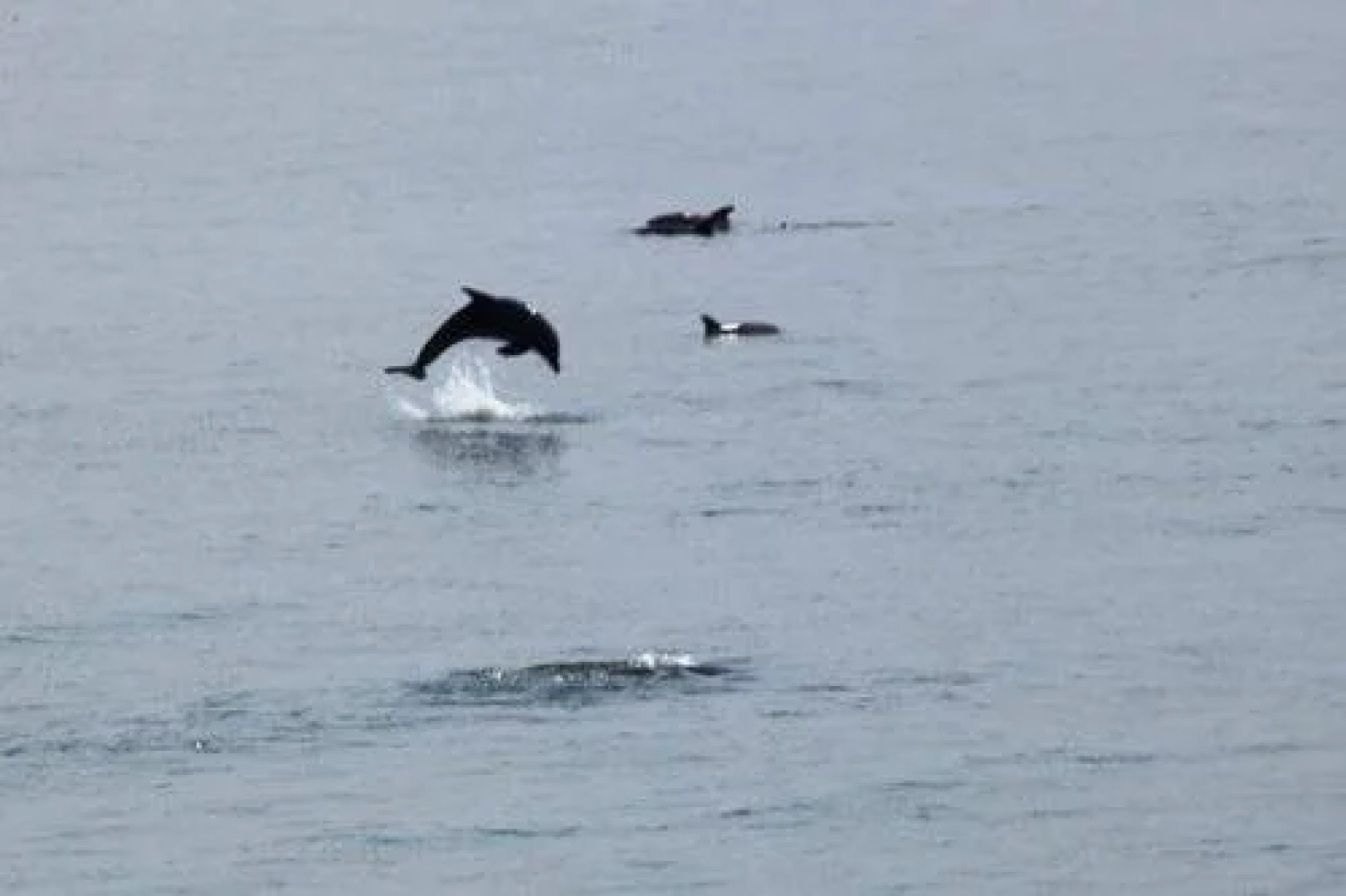 RelaxInn Bed & Breakfast