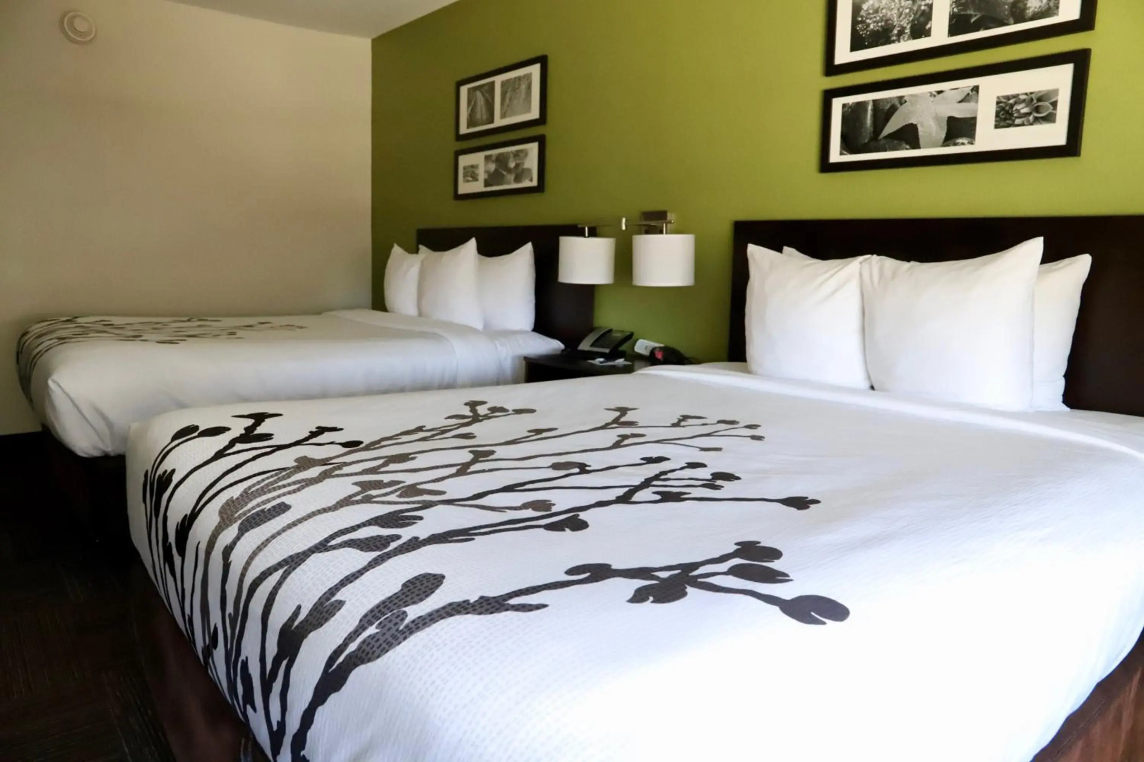 Sleep Inn & Suites Belmont / St. Clairsville