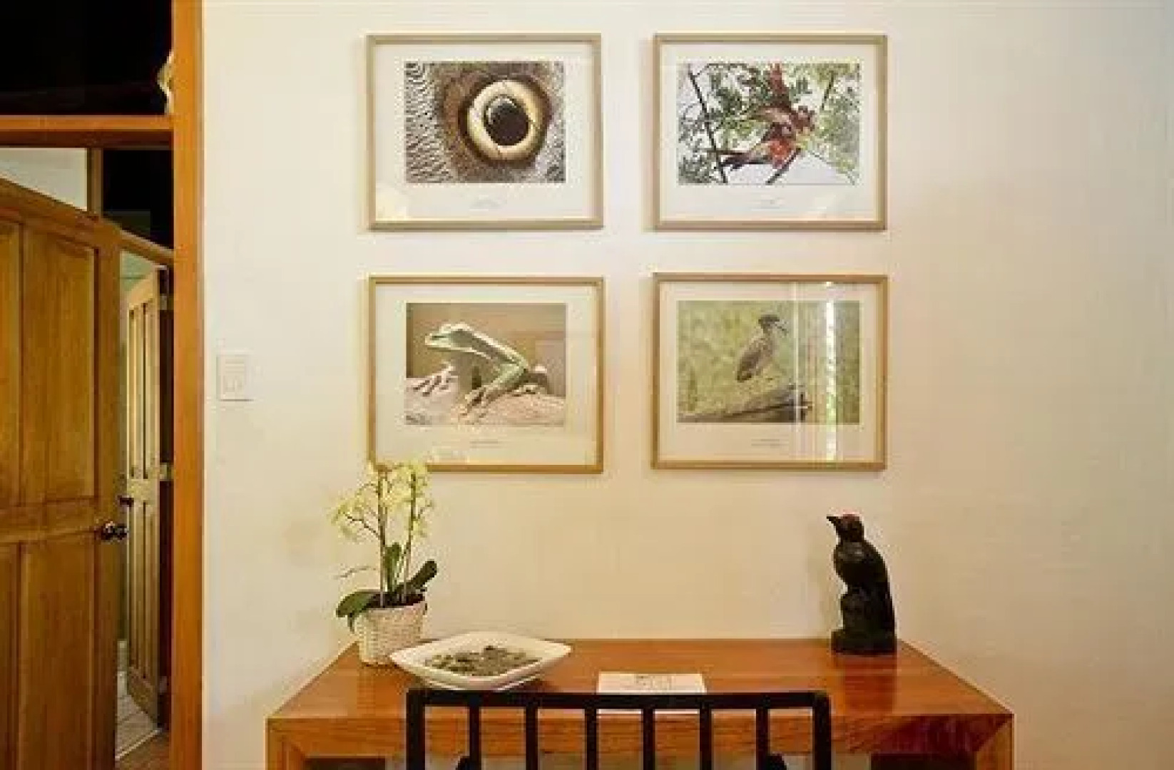 Hotel Paraiso Carlisa