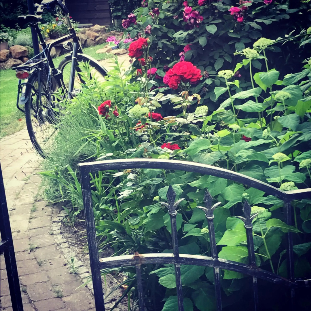 Spechtstraße 65 Ferienwohnung