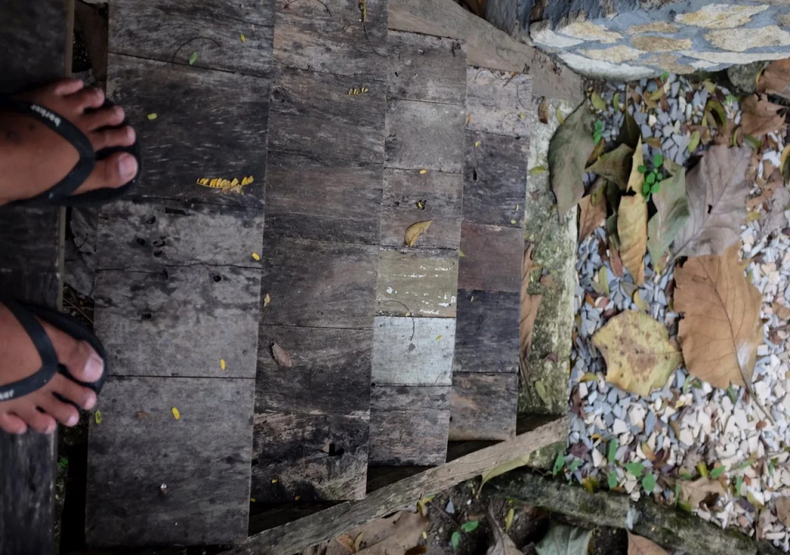 Patehan Villa Dewandaru