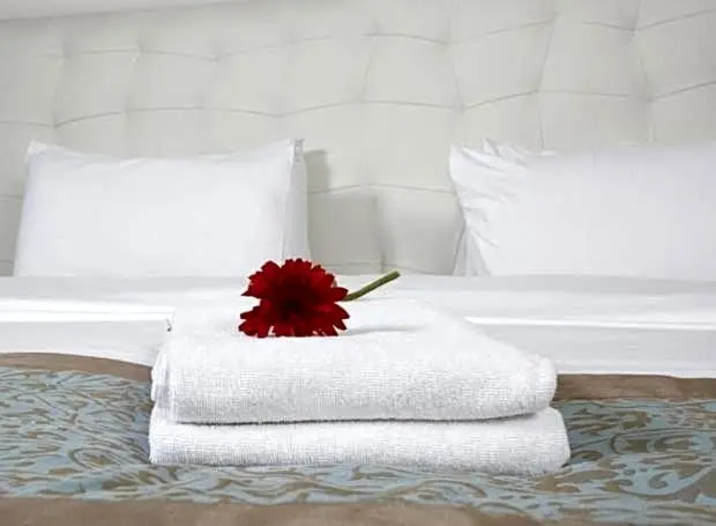 Buddha House & SPIAGGIA