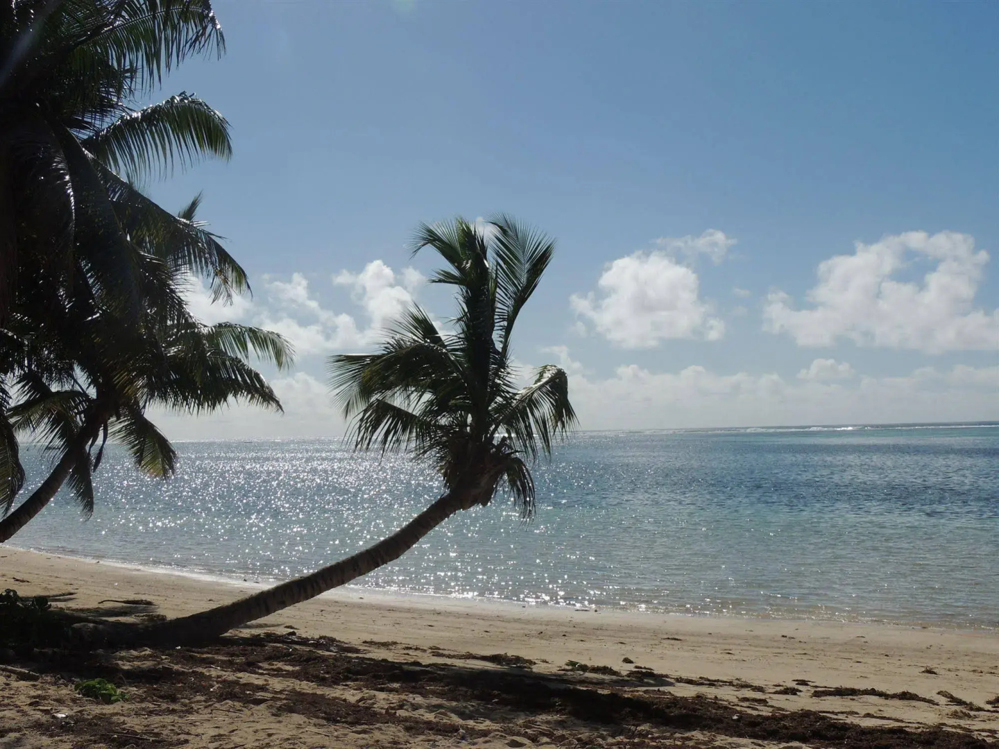 Reef Holiday Apartments
