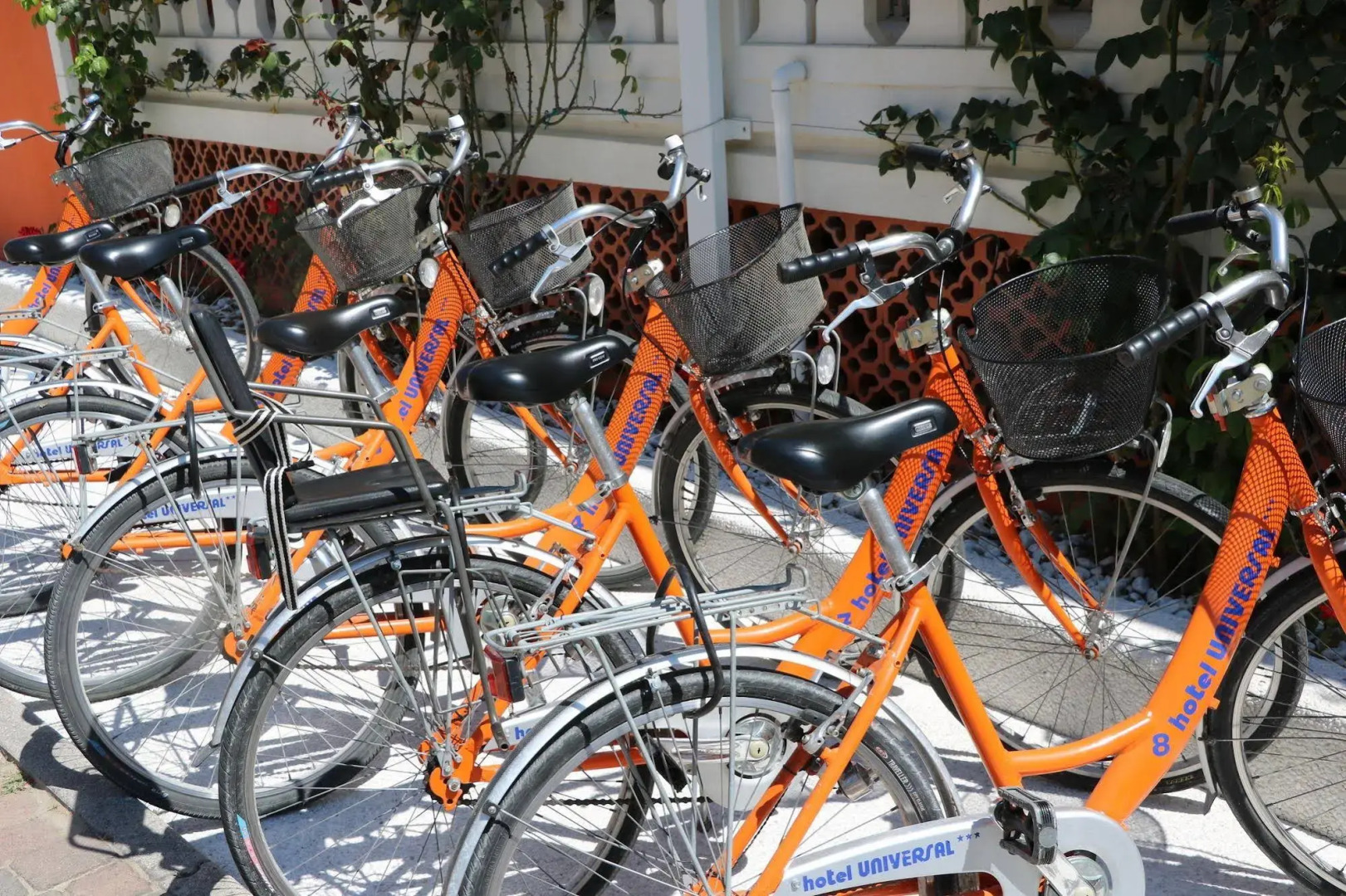 Hotel Universal