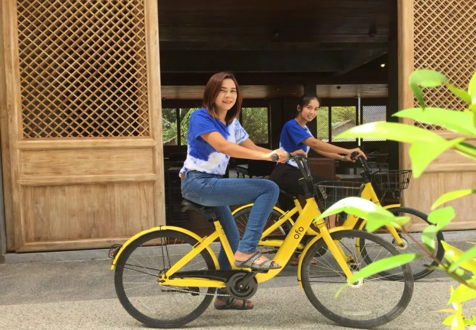 The Chic Lipe - Hostel