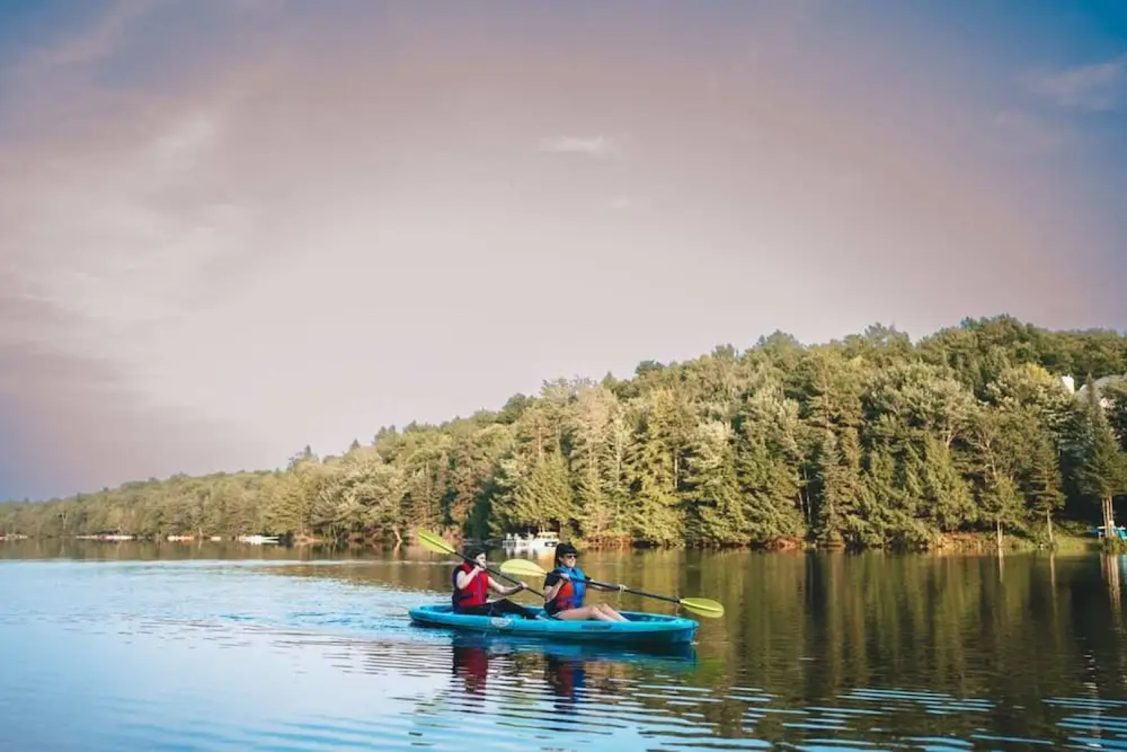 Le Cerf 40 Citq 234861