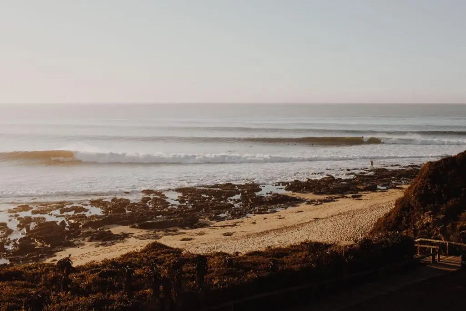 African Perfection 1