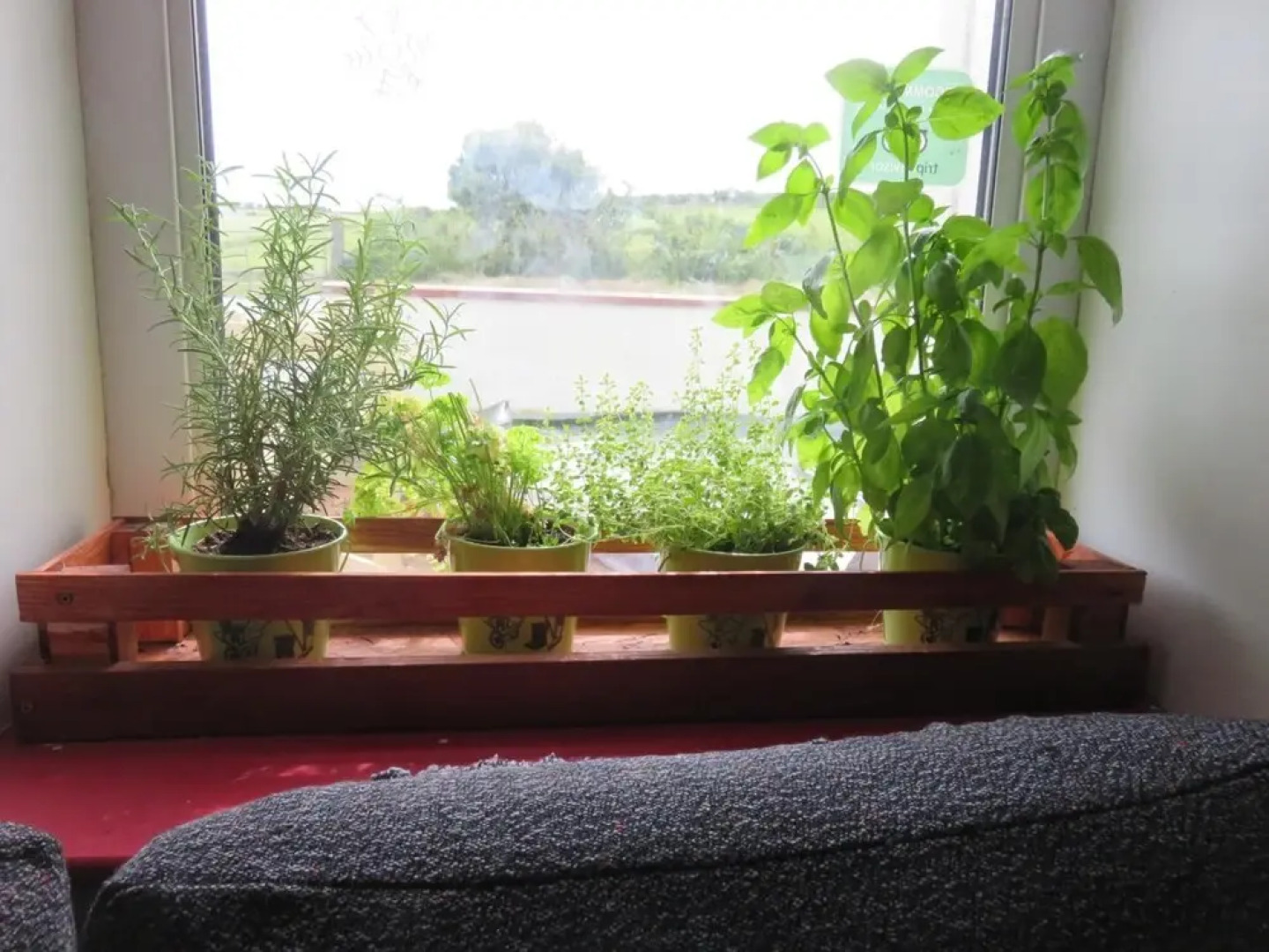 Finn McCool's Giants Causeway Hostel