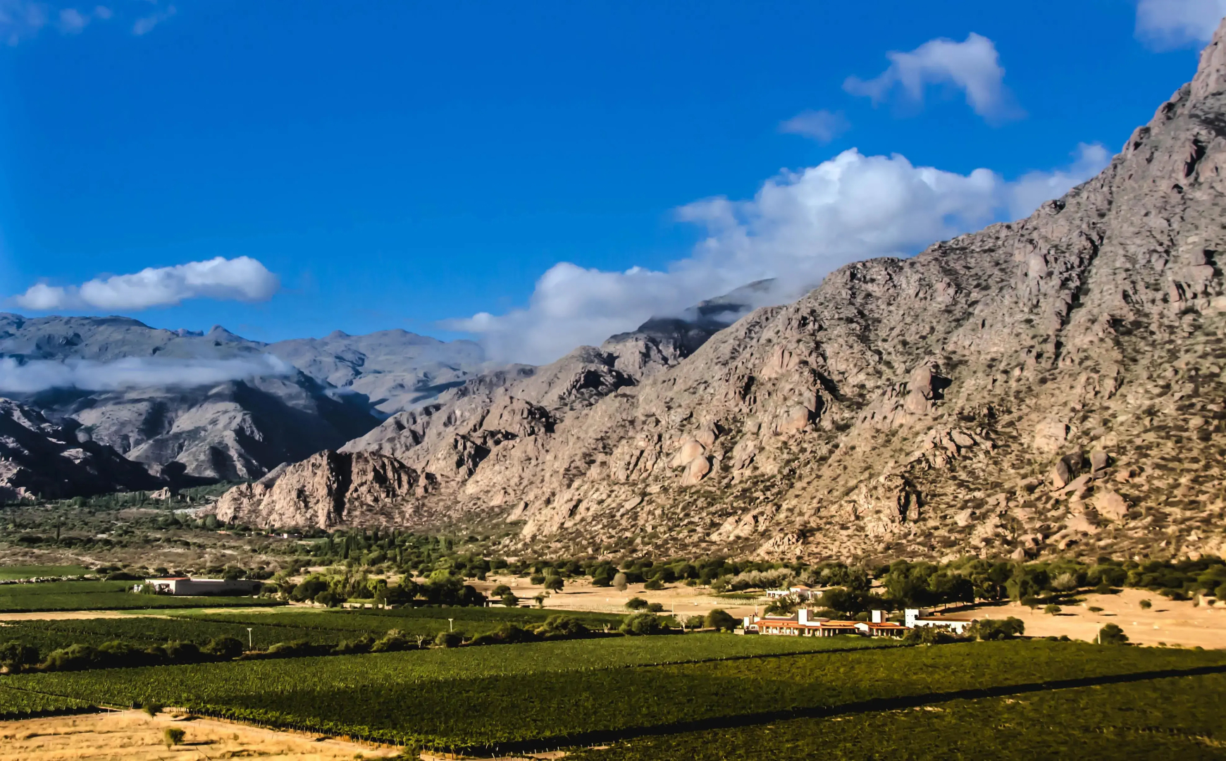Viñas De Cafayate Wine Resort