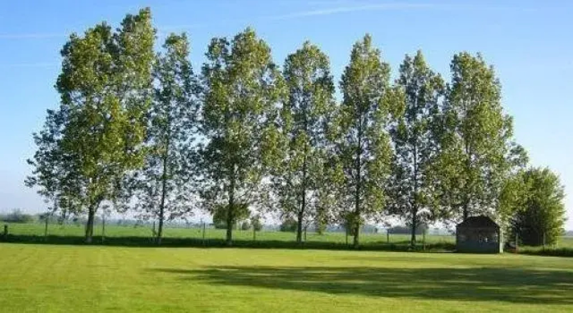 Bluebell Barn B And B