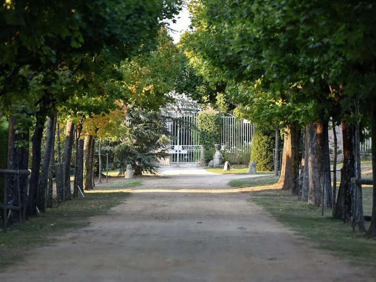 Premium Apartment in Saint-clair With Terrace