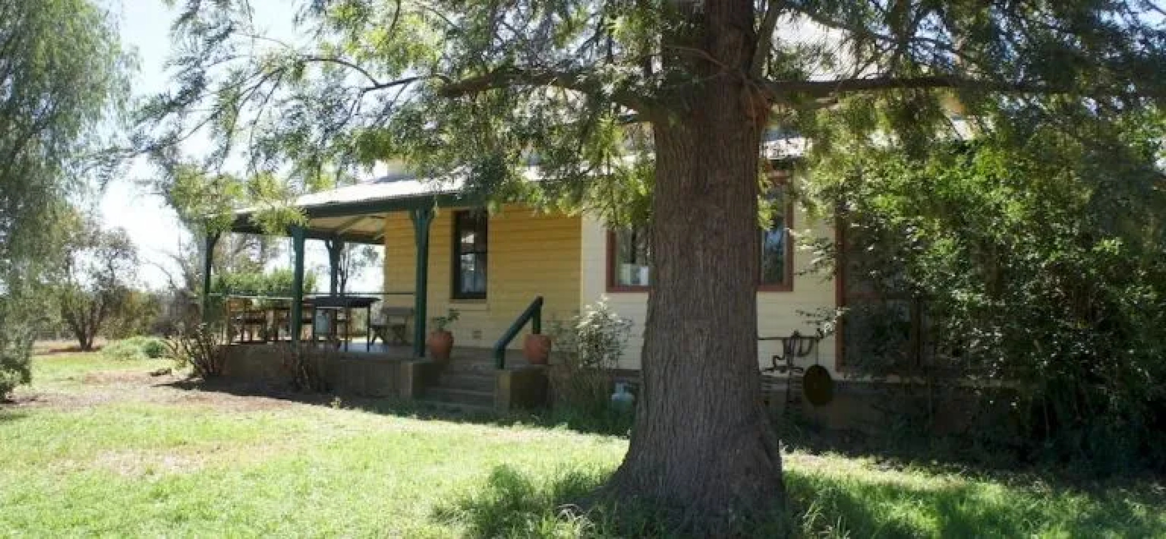 Rosnay Organic Vineyard, Olive Grove, Figs and Farmstay