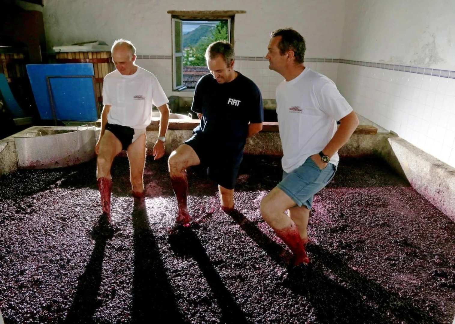 Villa With 3 Bedrooms in Lamego, With Wonderful Mountain View, Private