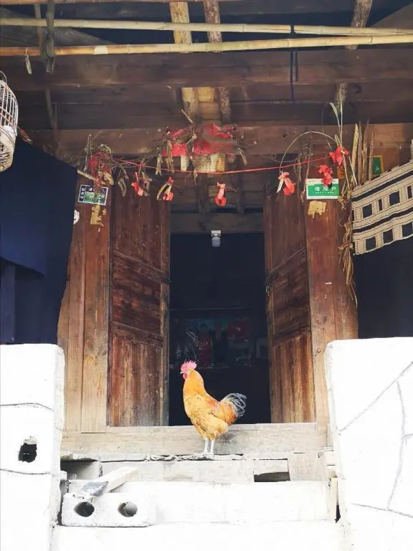 Emerald Adventures Guesthouse