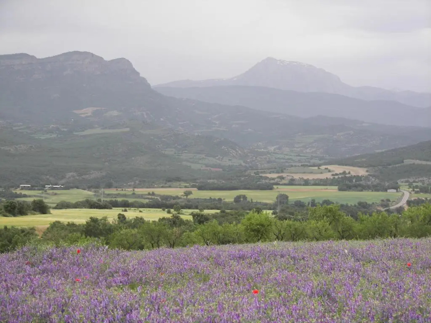 Antigua Casa Catones